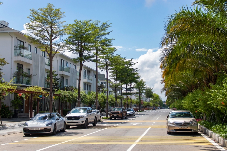 Khu thấp tầng Camellia